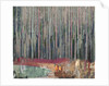 Forest's Edge, 2017 by David McConochie