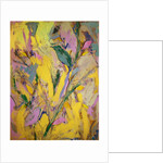 Starlings, 2017 by David McConochie