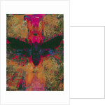 Death Moth Collage, 2016 by David McConochie