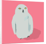 Owl, 2017 by Thomas MacGregor