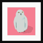 Owl, 2017 by Thomas MacGregor