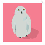 Owl, 2017 by Thomas MacGregor