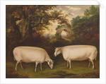 Two Prize Border Leicester Rams in a Landscape, 1800 by Thomas Weaver