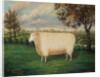 A Prize Sheep of the Old Lincoln Breed, 1835 by W. Adamson