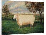 A Prize Sheep of the Old Lincoln Breed, 1835 by W. Adamson