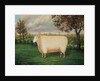 A Prize Sheep of the Old Lincoln Breed, 1835 by W. Adamson