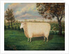 A Prize Sheep of the Old Lincoln Breed, 1835 by W. Adamson
