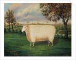 A Prize Sheep of the Old Lincoln Breed, 1835 by W. Adamson