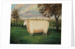 A Prize Sheep of the Old Lincoln Breed, 1835 by W. Adamson