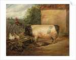 Portrait of a prize pig, property of Squire Weston of Essex, 1810 by Edwin Landseer