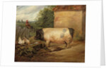 Portrait of a prize pig, property of Squire Weston of Essex, 1810 by Edwin Landseer
