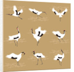 Oriental Cranes, 2017 by Claire Huntley