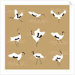 Oriental Cranes, 2017 by Claire Huntley