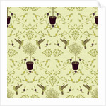 The Olive Tree, 2017 by Claire Huntley