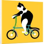 Cat on a Brompton Bike, 2017 by Claire Huntley