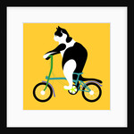 Cat on a Brompton Bike, 2017 by Claire Huntley