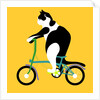 Cat on a Brompton Bike, 2017 by Claire Huntley