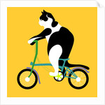 Cat on a Brompton Bike, 2017 by Claire Huntley