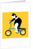 Cat on a Brompton Bike, 2017 by Claire Huntley