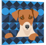 Aztec Dog, 2017 by Claire Huntley