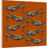 Zebra Slingbacks, 2019 by Claire Huntley