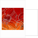 flowers, by Linda Arthurs