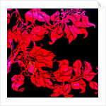 Red for William;s sister, 2017 by Linda Arthurs