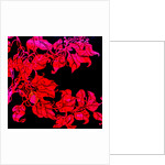 Red for William;s sister, 2017 by Linda Arthurs