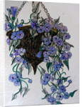 Hanging flowers, 2014 by Linda Arthurs