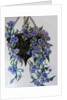 Hanging flowers, 2014 by Linda Arthurs