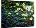Flowers in stream, 2012 by Linda Arthurs