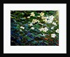 Flowers in stream, 2012 by Linda Arthurs