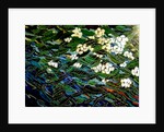 Flowers in stream, 2012 by Linda Arthurs