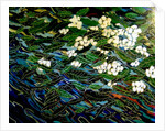 Flowers in stream, 2012 by Linda Arthurs