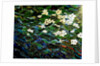 Flowers in stream, 2012 by Linda Arthurs