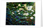 Flowers in stream, 2012 by Linda Arthurs