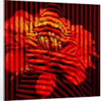 Flower Collage, 2017 by Linda Arthurs