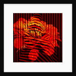 Flower Collage, 2017 by Linda Arthurs