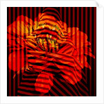 Flower Collage, 2017 by Linda Arthurs