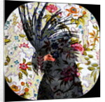 Black Parrot, 2017 by Linda Arthurs