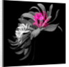 SPRING FLOWER COLLAGE, 2018 by Linda Arthurs
