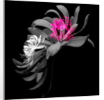 SPRING FLOWER COLLAGE, 2018 by Linda Arthurs