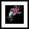 SPRING FLOWER COLLAGE, 2018 by Linda Arthurs