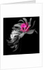 SPRING FLOWER COLLAGE, 2018 by Linda Arthurs
