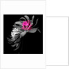 SPRING FLOWER COLLAGE, 2018 by Linda Arthurs