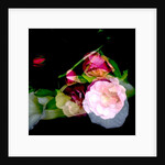 MY MUM'S FLOWER, 2017 by Linda Arthurs