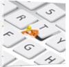The Keyboard Cleaner, 2023 by Nick Diggory