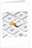 The Keyboard Cleaner, 2023 by Nick Diggory