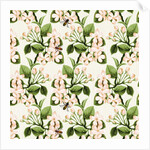 Crab Apple Blossom and Honey Bee, 2017 by Andrew Watson