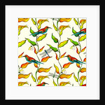 Bee Eaters, 2017 by Andrew Watson